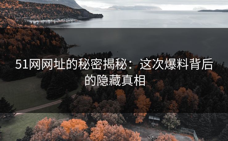 51网网址的秘密揭秘:这次爆料背后的隐藏真相 51网网址的秘密揭秘:这次爆料背后的隐藏真相