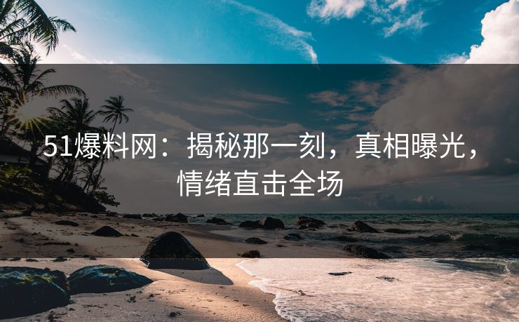 51爆料网：揭秘那一刻，真相曝光，情绪直击全场